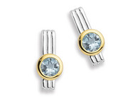 Aqua Earrings