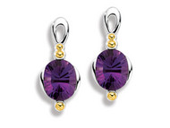 Amethyst Earrings