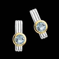 Aqua Earrings