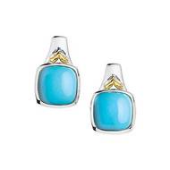 Turquoise Earrings